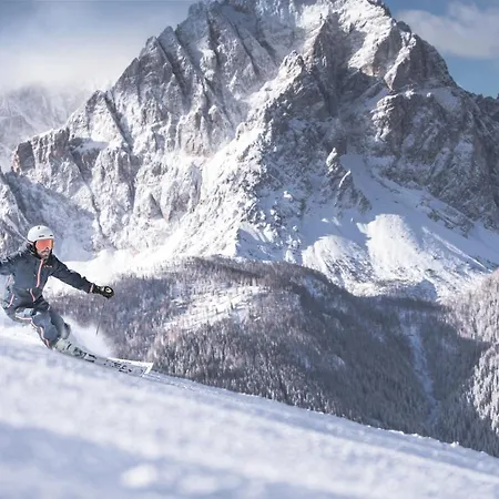 Hotel Loewe Dolomites 3*
