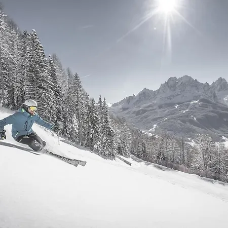 Loewe Dolomites 3* San Candido